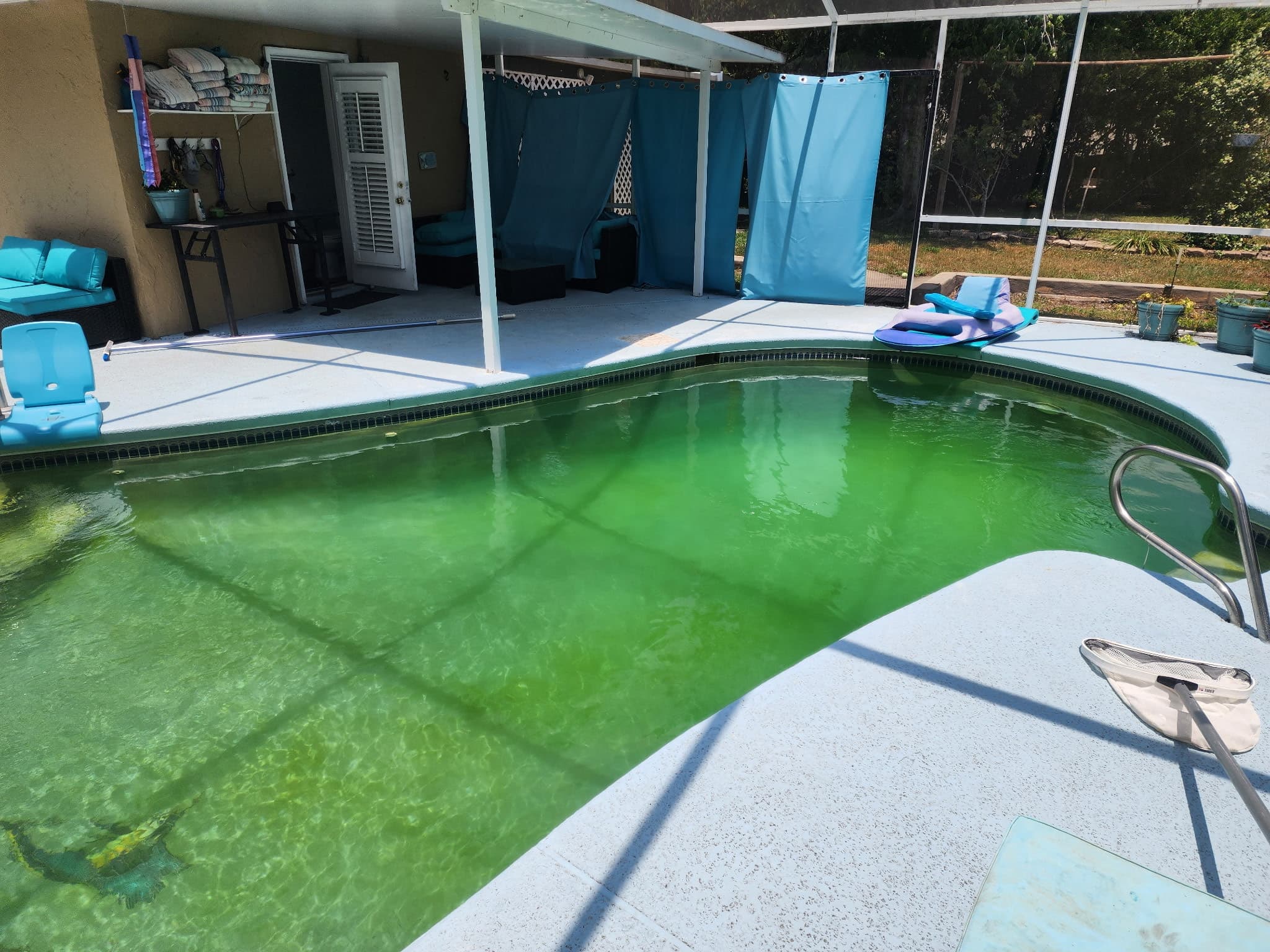 Green pool cleanup — before and after, photo 1 of 4