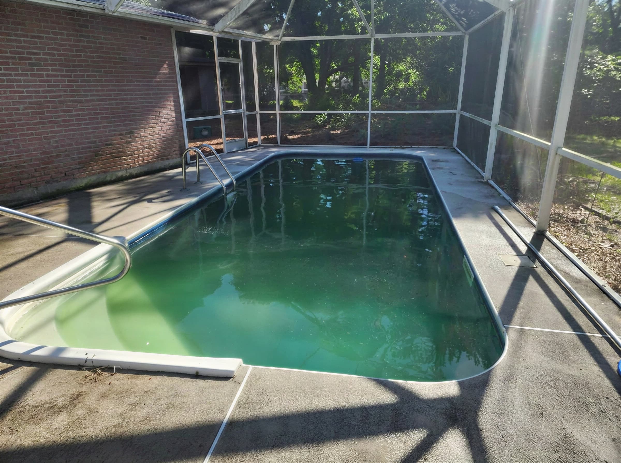 Green pool cleanup — before and after, photo 3 of 4